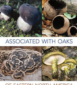 Macrofungi Associated with Oaks of Eastern North America