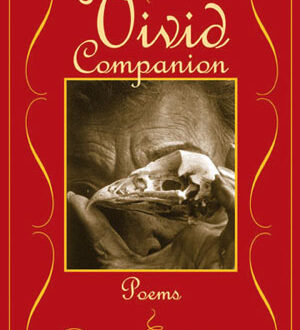 Vivid Companion