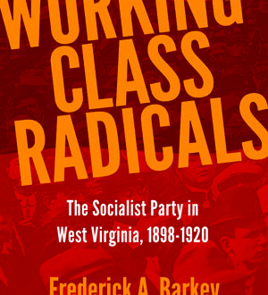 Working Class Radicals