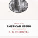 History of the American Negro