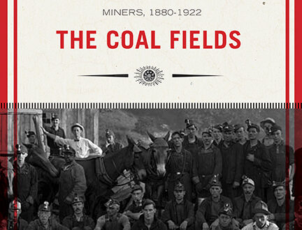 Life, Work, and Rebellion in the Coal Fields