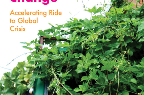 Transportation and the Culture of Climate Change cover