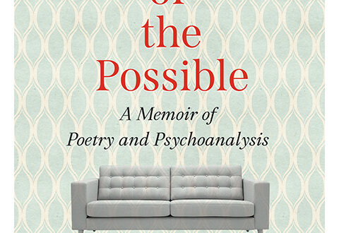 Slow Fuse of the Possible cover, gray, squared-off mid-century modern couch