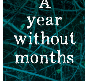 A Year without Months cover: white lettering on a blurred green tinted photo of sticks in a pile as the background