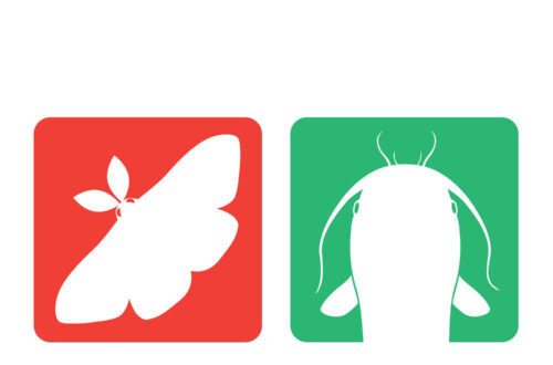 Text at top reads Utter, Earth: Advice on Living in a More-than-Human World, Isaac Yuen. Beneath the text are four illustrations: a moth silhouette, in white, against a red background, a catfish silhouette, in white, against a mint green background, a silhouette of wheat, in white, against a blue background, and a rhino silhouette, in white against a mushroom background