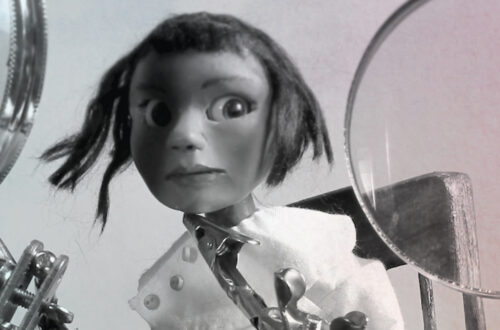 indigenous ecocinema cover