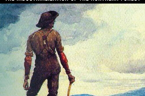 cutover capitalism cover